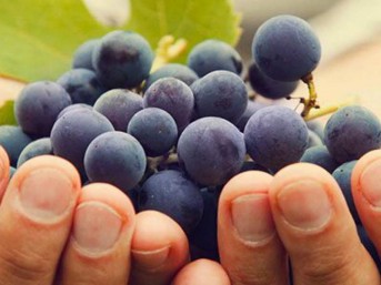 Tour e racconti di gusto